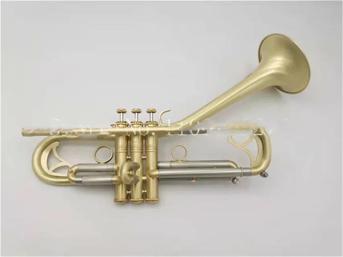 Bb Trumpet with Case and Mouthpiece C799