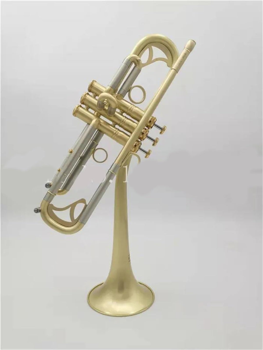 Bb Trumpet with Case and Mouthpiece C799