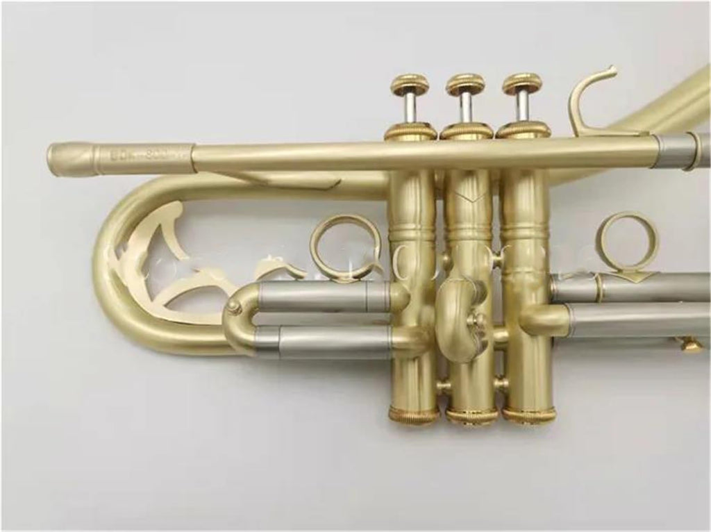 Bb Trumpet with Case and Mouthpiece C799