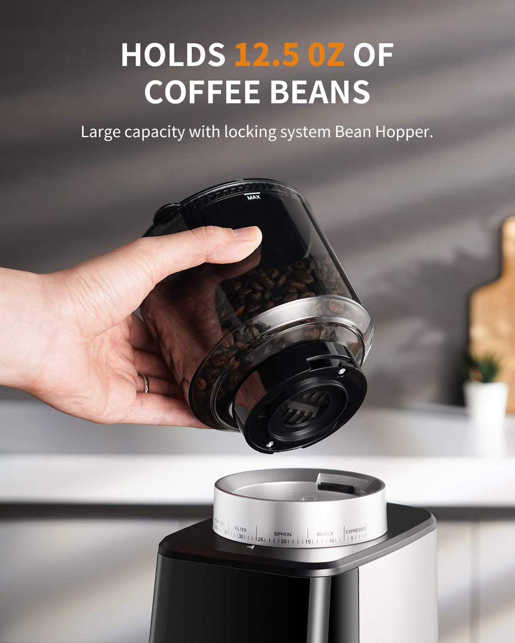 Electric Conical Burr Coffee Grinder with Timer L644070