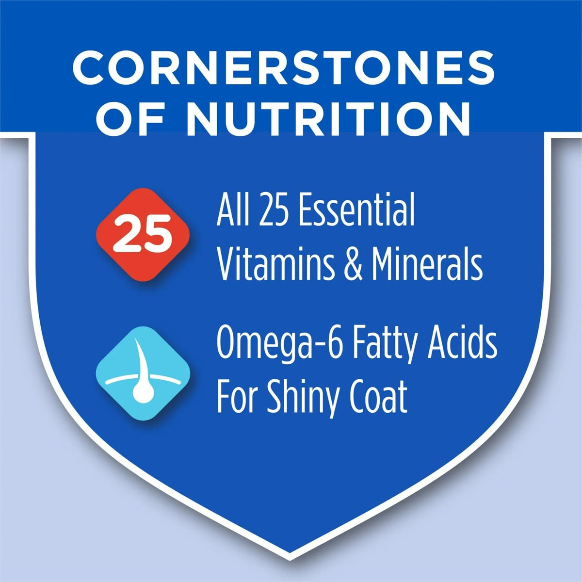 Dry Cat Food 3.5-lb Bag Y509273