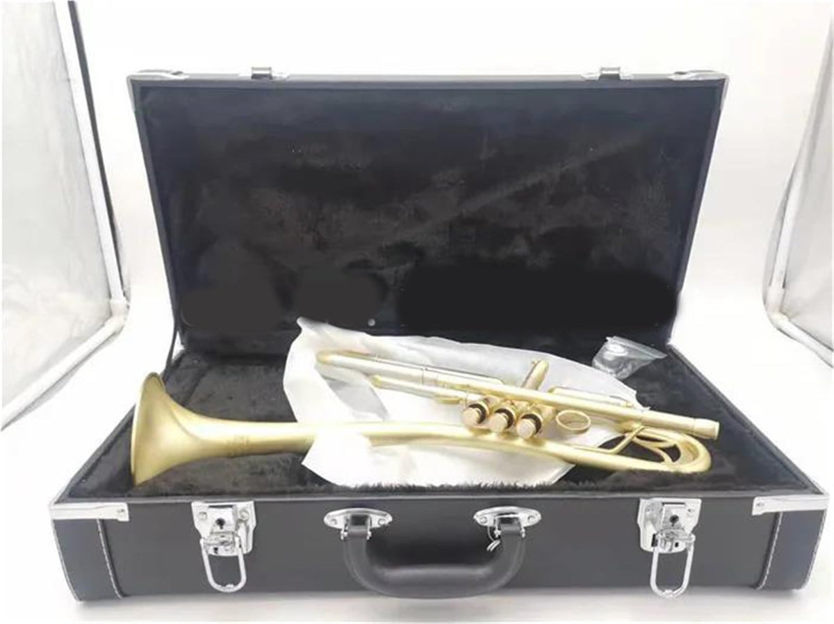 Bb Trumpet with Case and Mouthpiece C799