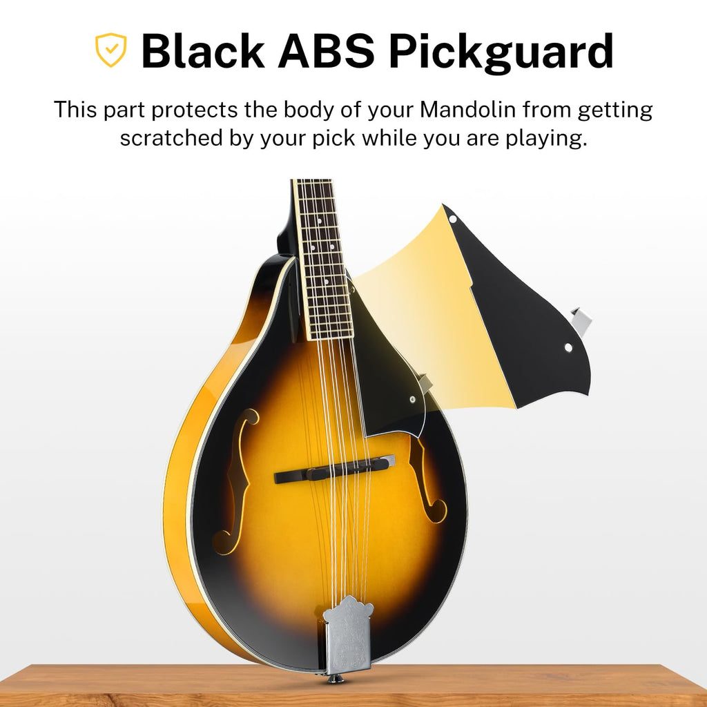 Sunburst Mahogany 8 String Acoustic Mandolin S71802