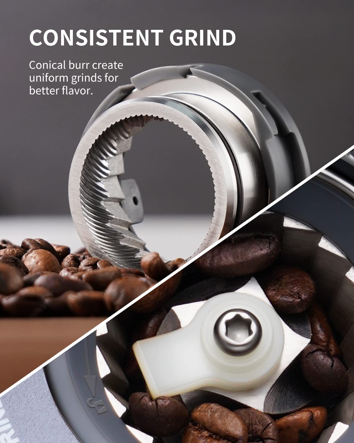 Electric Conical Burr Coffee Grinder with Timer L644070