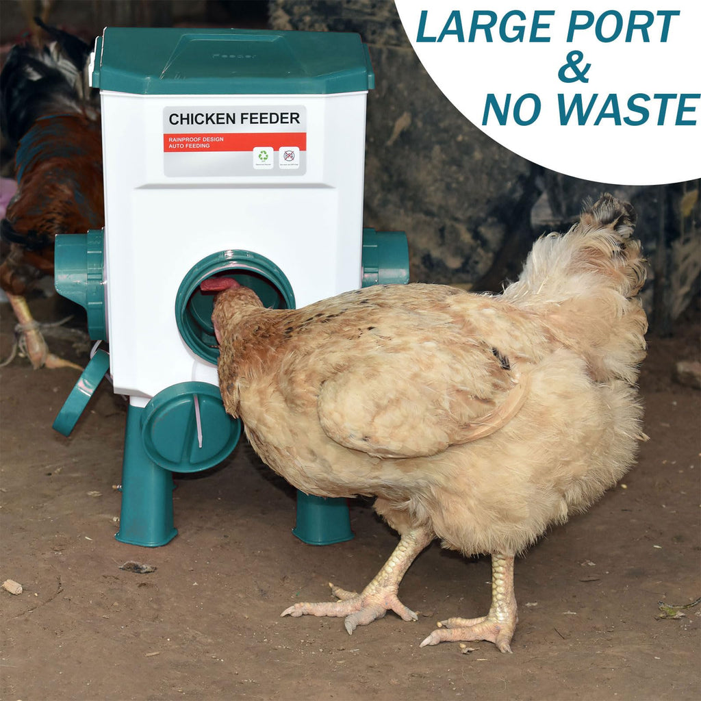 Automatic Chicken Waterer & No Waste Feeder Kits, 3 Gallon K982737