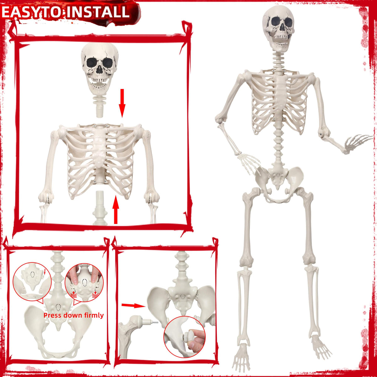 5.4Ft Poseable Skeleton Plastic Human Bones Y976