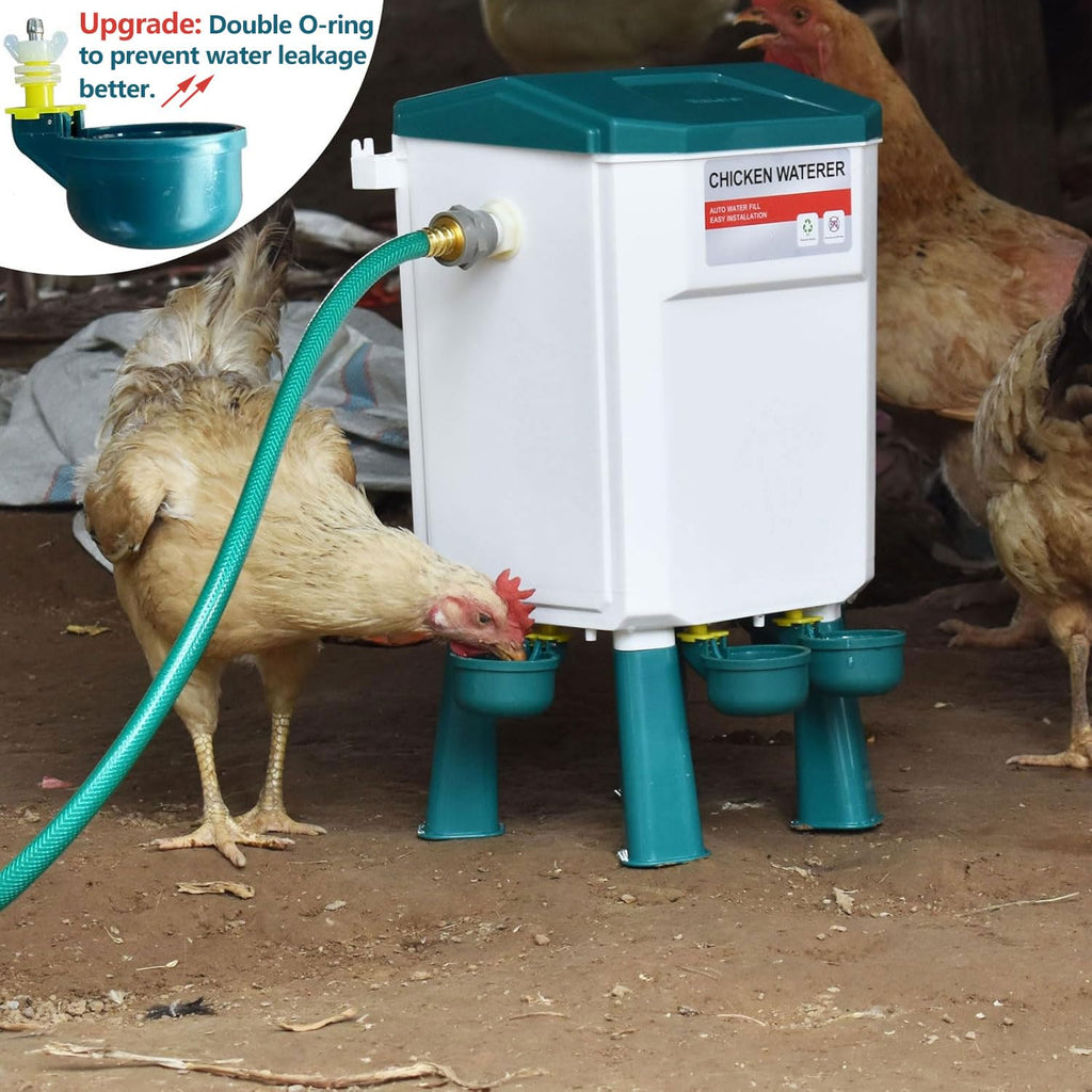 Automatic Chicken Waterer & No Waste Feeder Kits, 3 Gallon K982737