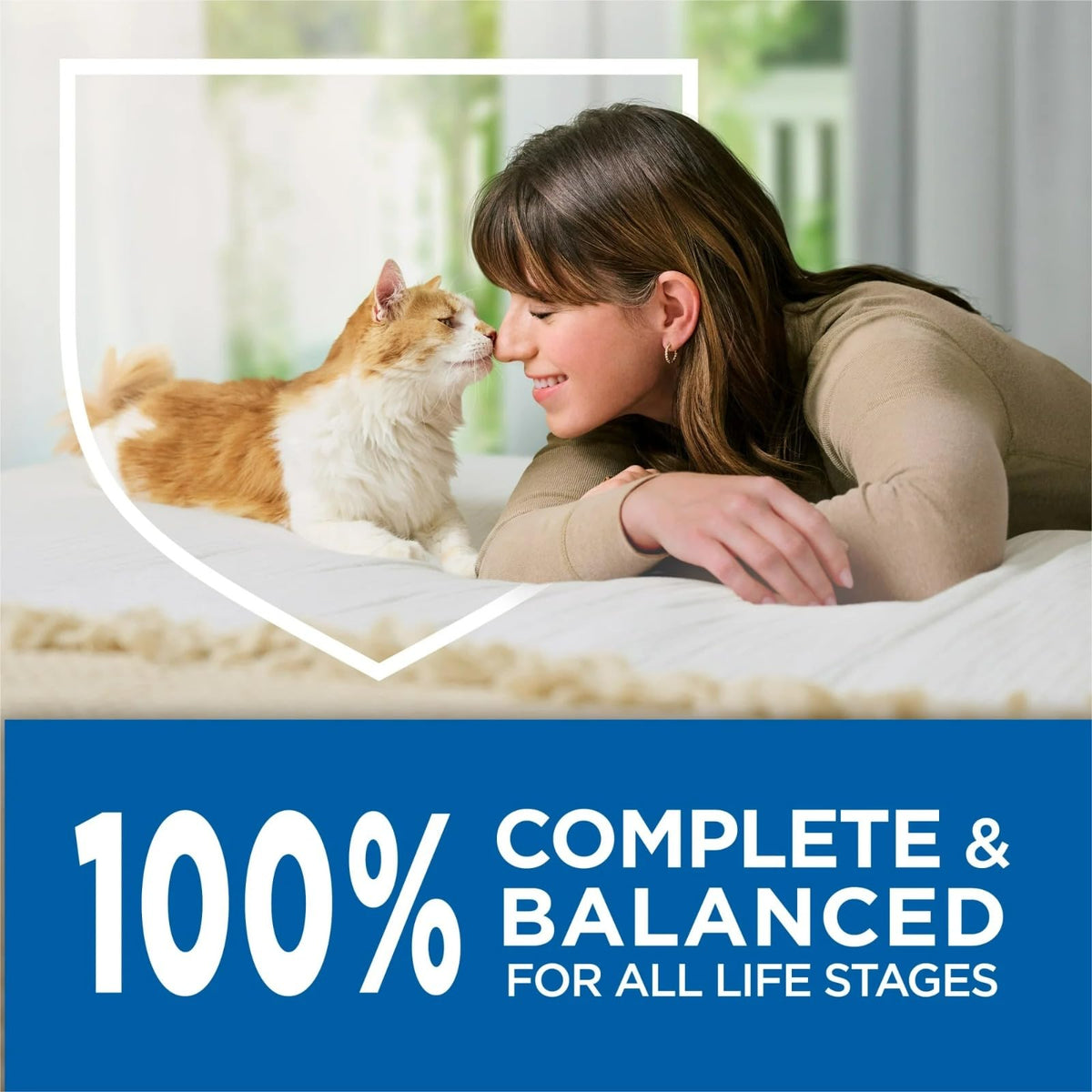 Dry Cat Food 3.5-lb Bag Y509273