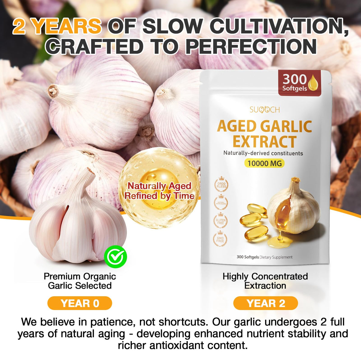 Aged Garlic Extract Softgels T32699