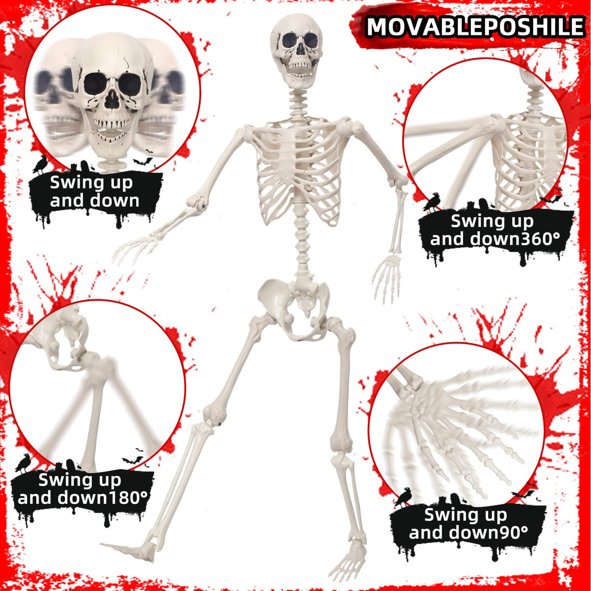 5.4Ft Poseable Skeleton Plastic Human Bones Y976