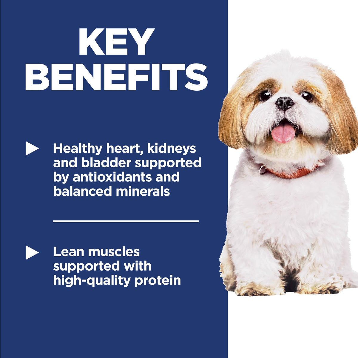 Dry Dog Food Z879