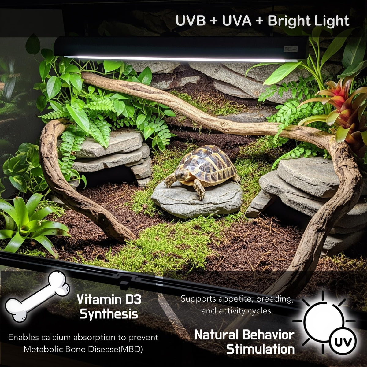 10.0 UVB 8W Fluorescent Lamp and Fixture Kit S49024