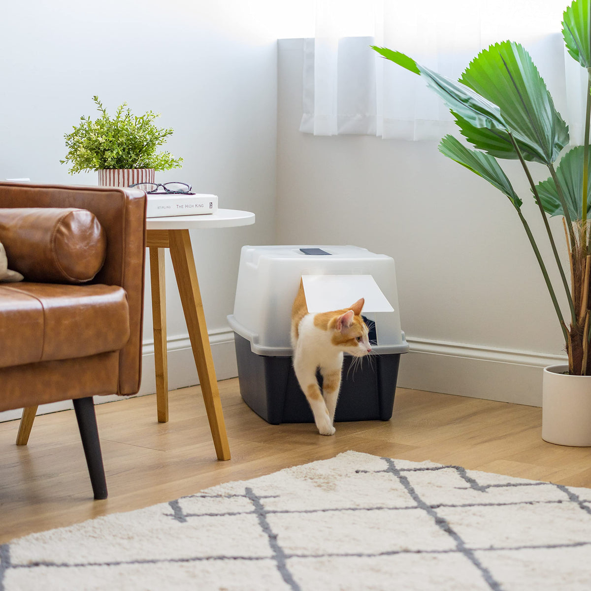 Large Front Door Cat Litter Box O1433