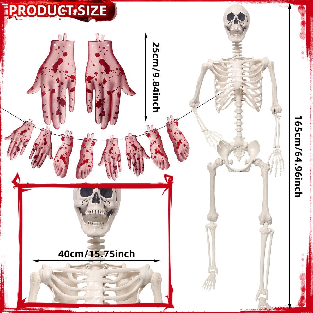 5.4Ft Poseable Skeleton Plastic Human Bones Y976