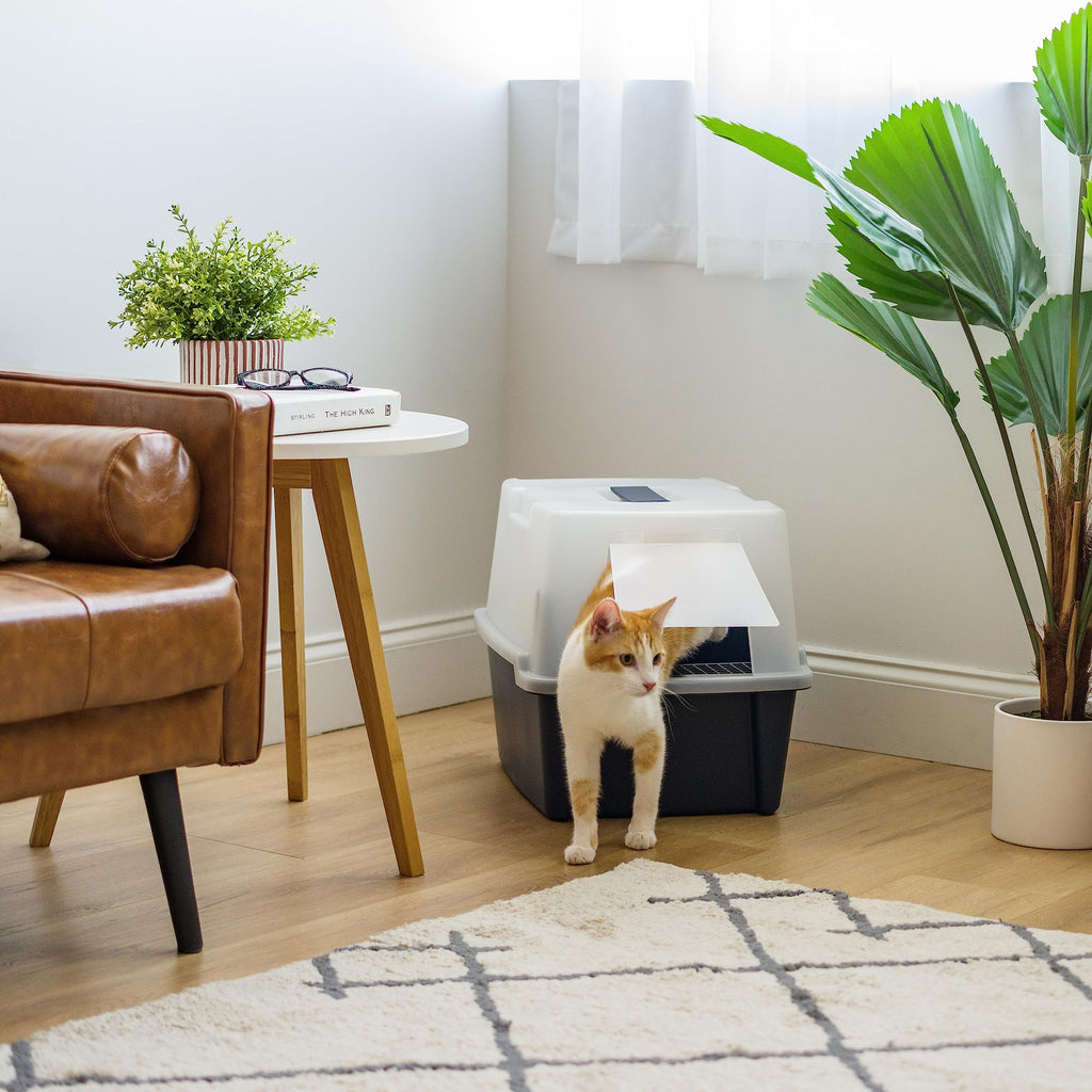 Large Front Door Cat Litter Box O1433