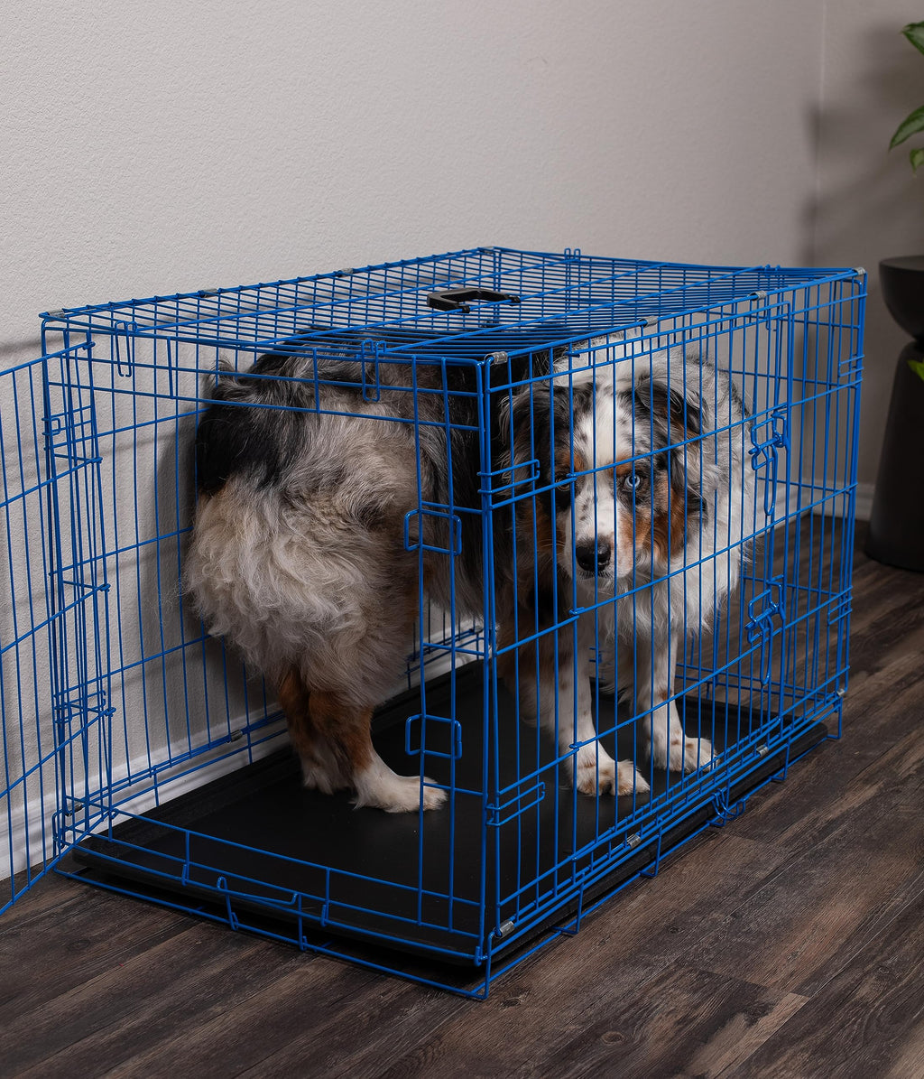 Medium 36 Inches Double Door Metal Steel Dog Kennel E682