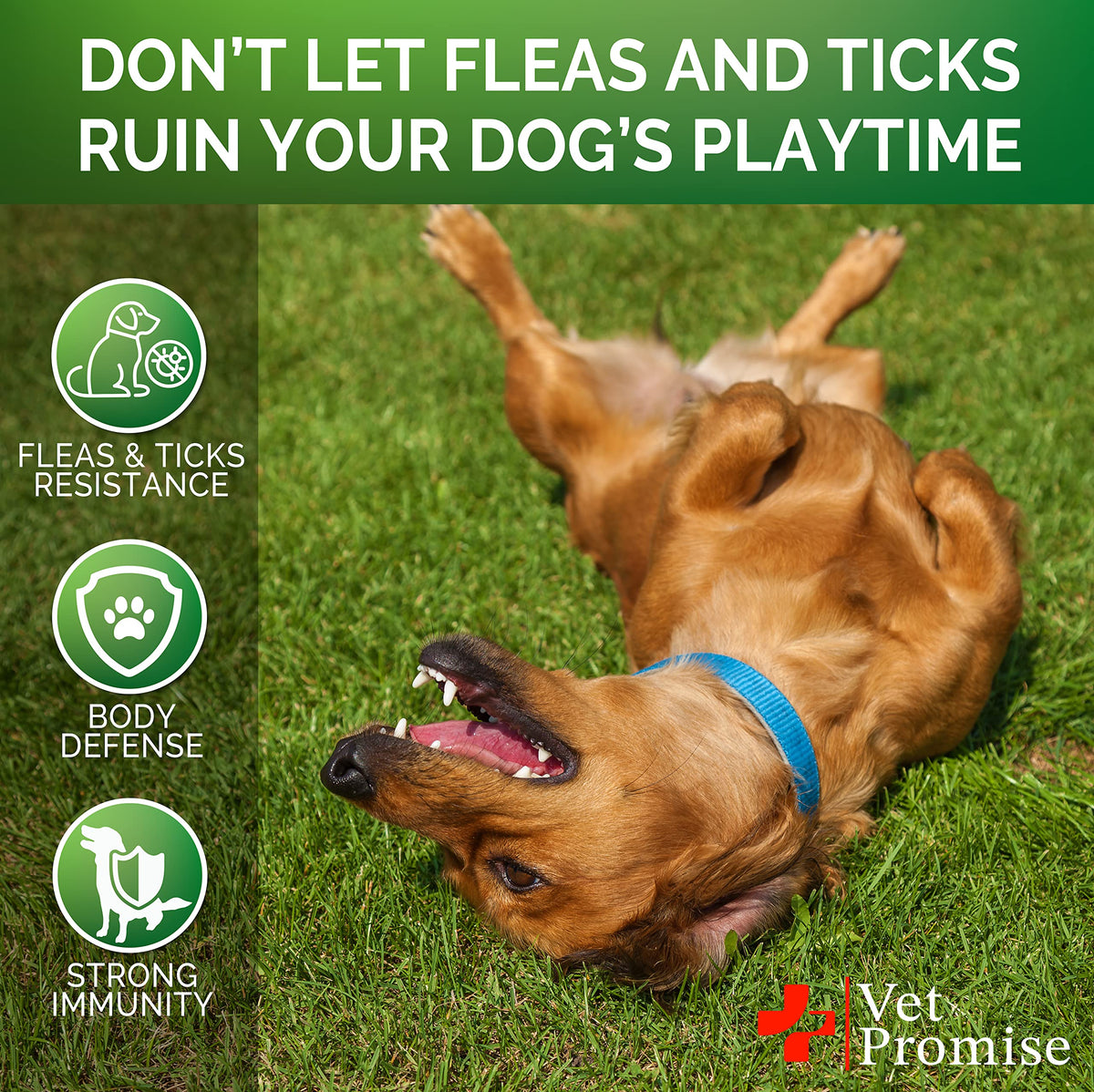 Flea and Tick Prevention for Dogs Chewables I5207