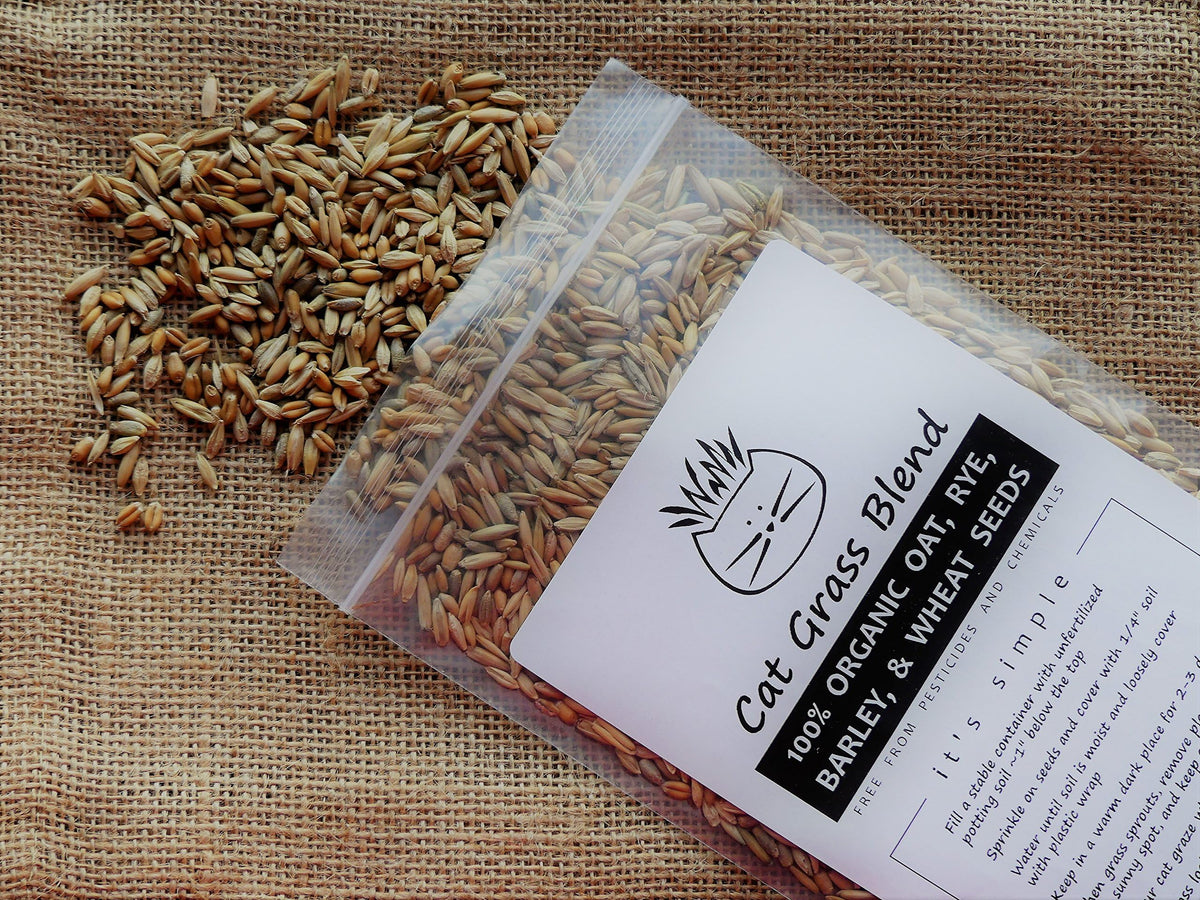 100% Organic Cat Grass Seed Mix 6 Ounce H624