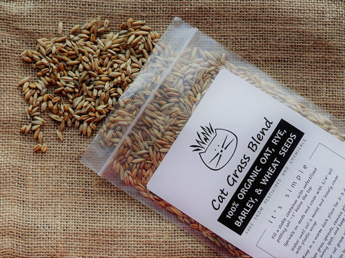 100% Organic Cat Grass Seed Mix 6 Ounce H624